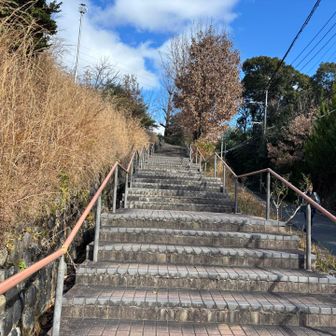 ここは舗装路ではなく、あえて階段を選択⬆️