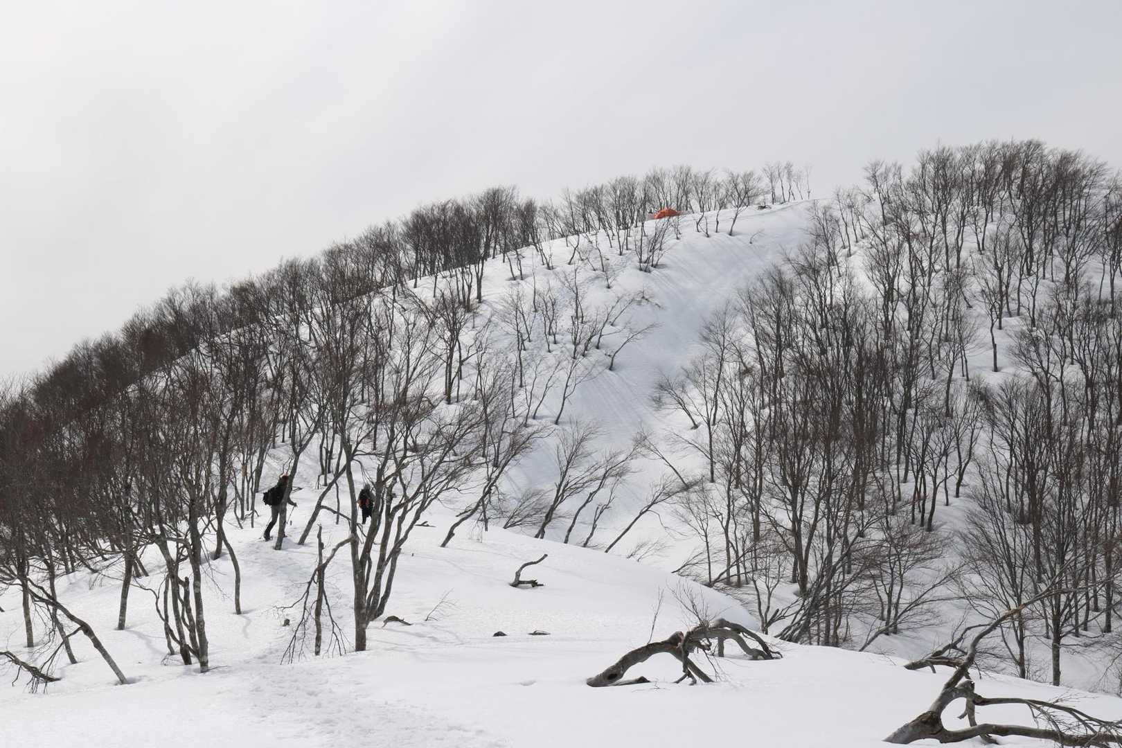 霧氷もすっかりと落ちて
黒々くなった大地山への登り返し
しんどい😓
登れば後は下るのみ