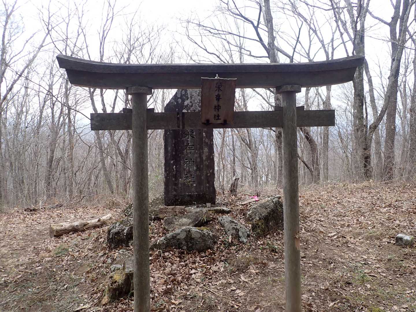 この神社名は初めて見る