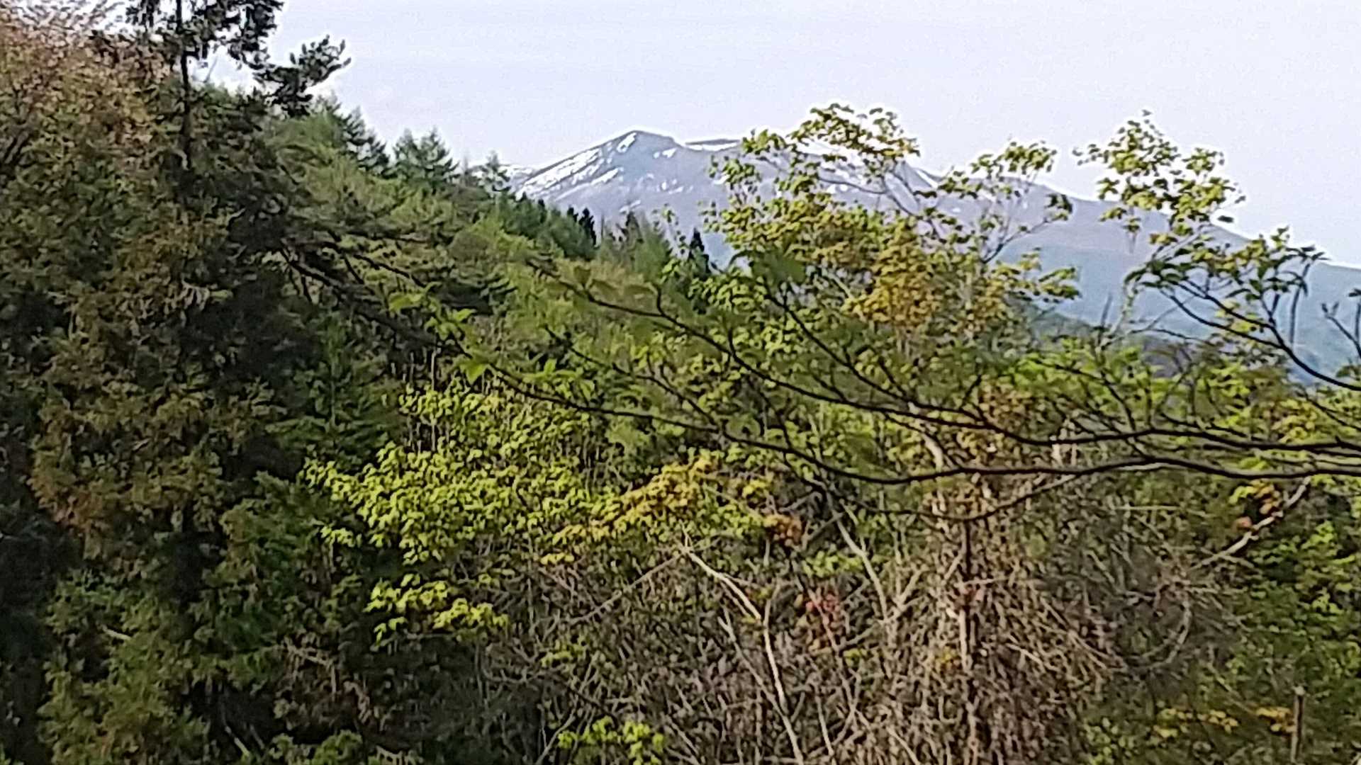 不忘山が見えました❗️