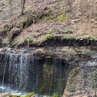 地層の下側から水が出てるの、確かに面白い。