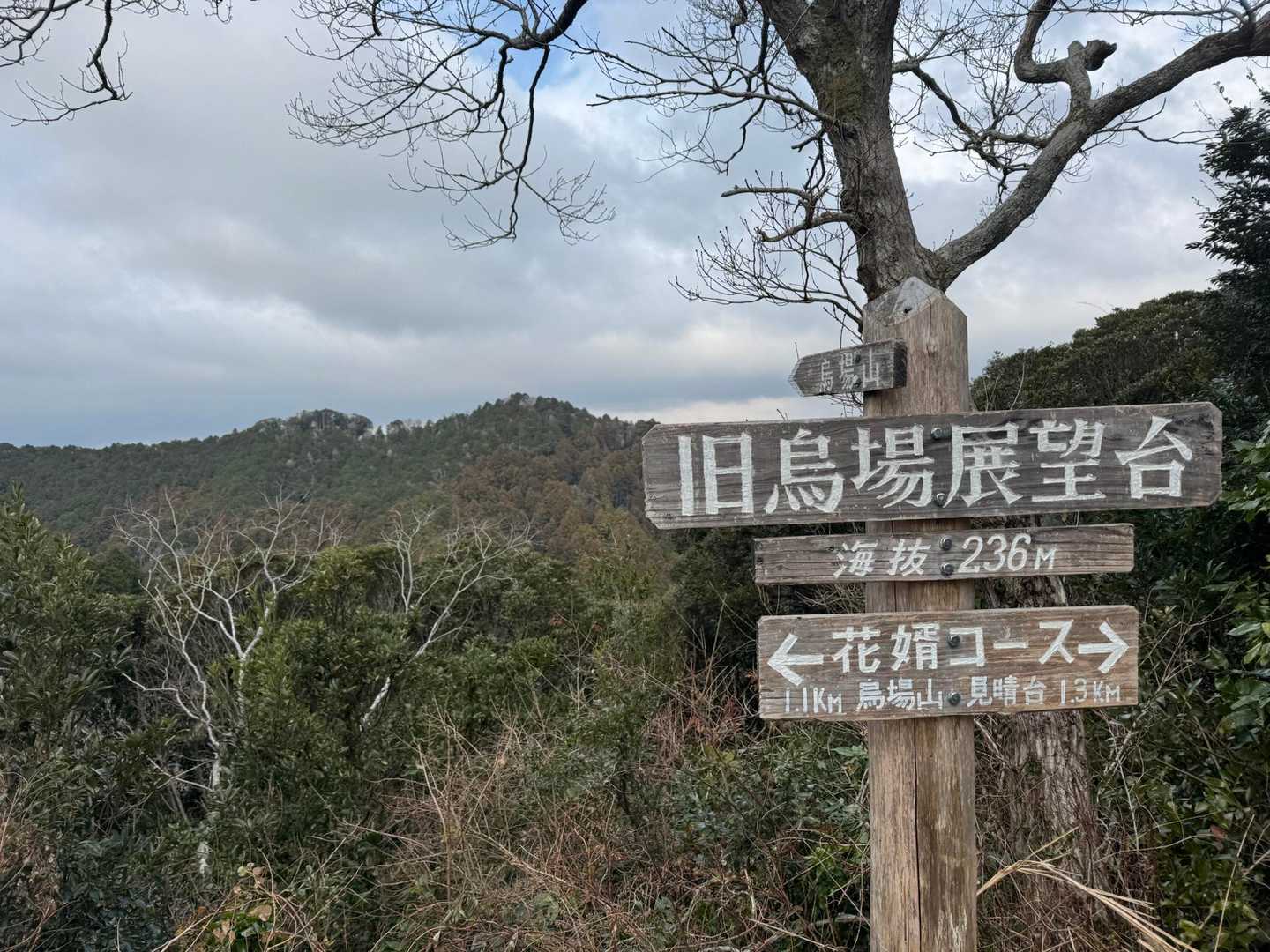 展望台から📸

内房？外房？の海や、伊予ヶ岳もバッチリ👌
（どれが伊予ヶ岳か分からんかったが…）