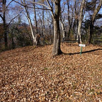 金剛山だけでなく、この後の山頂も休憩適地が多いです