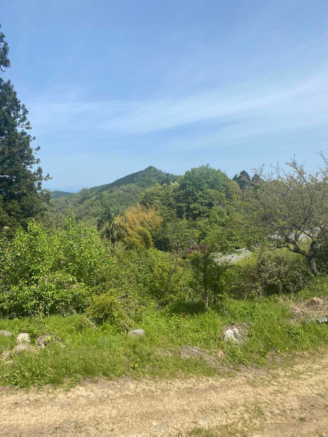 下りてきました
あの山が次登る白滝山かな？