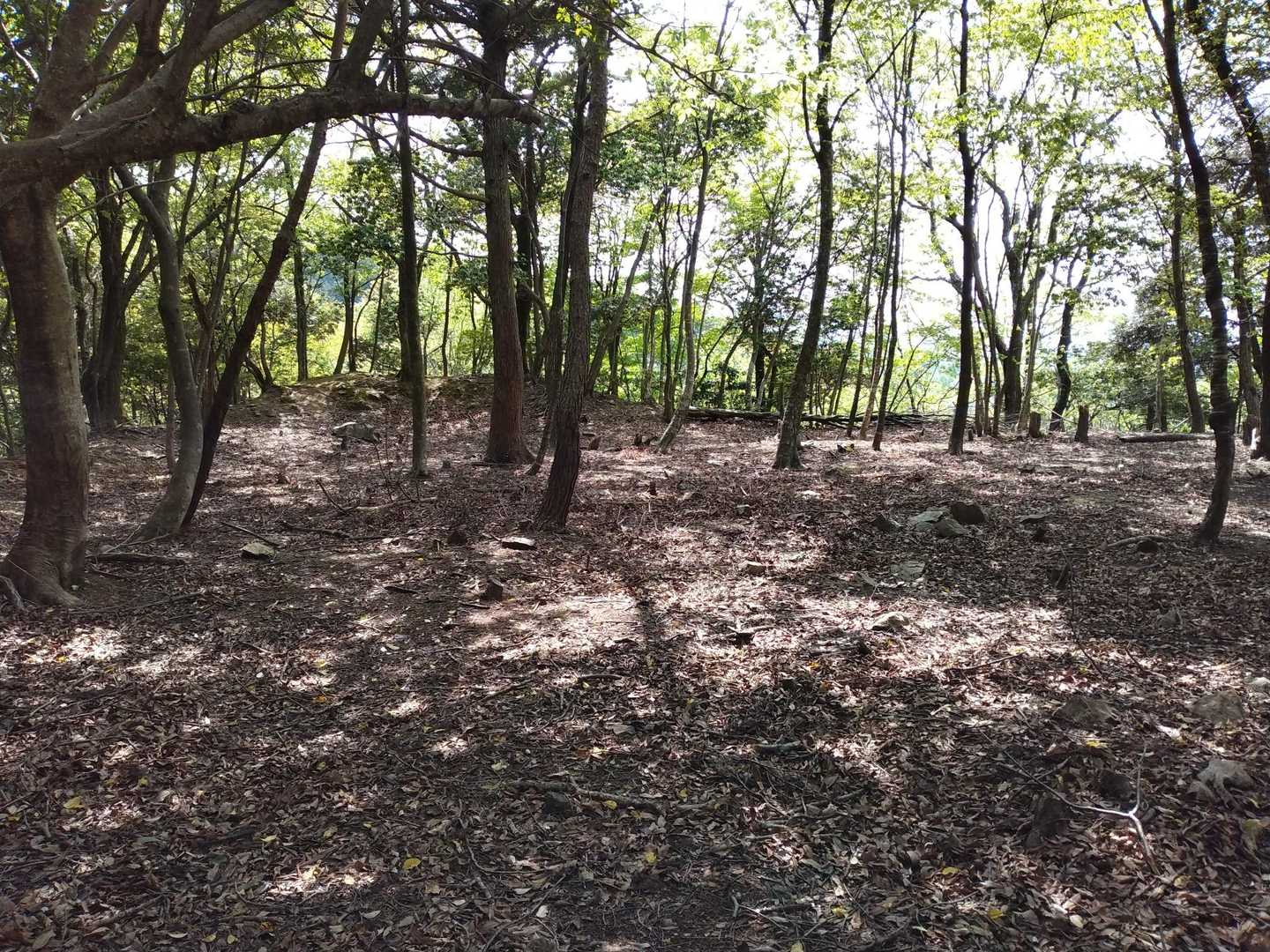 二の丸跡