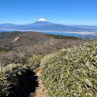 本日はもう富士山お腹いっぱい😁