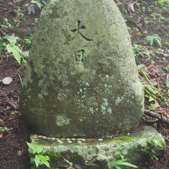 「大日」と刻まれた石
大日如来のことでしょうか
この文字だけでお賽銭を供えてしまうとは、みなさん信心深い
大日の文字の下には、
「みぎ　かづま（数馬）」
「ひだり　さいばら（西原）」の文字
道標の役割も果たしていたようです