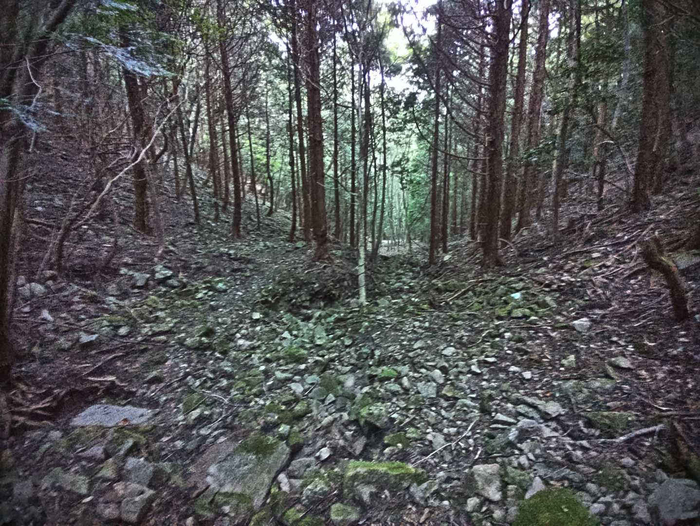 まだ昼なのにムッチャ暗い道でした。