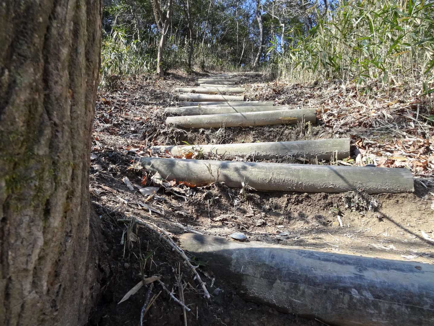 階段や～😁
ピーク多い分、登っては下っての繰り返しです🚶‍♂♪それも楽しいかな😜