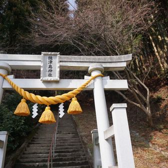 三十三観音巡りはまた次回にします！
ありがとうございました😊