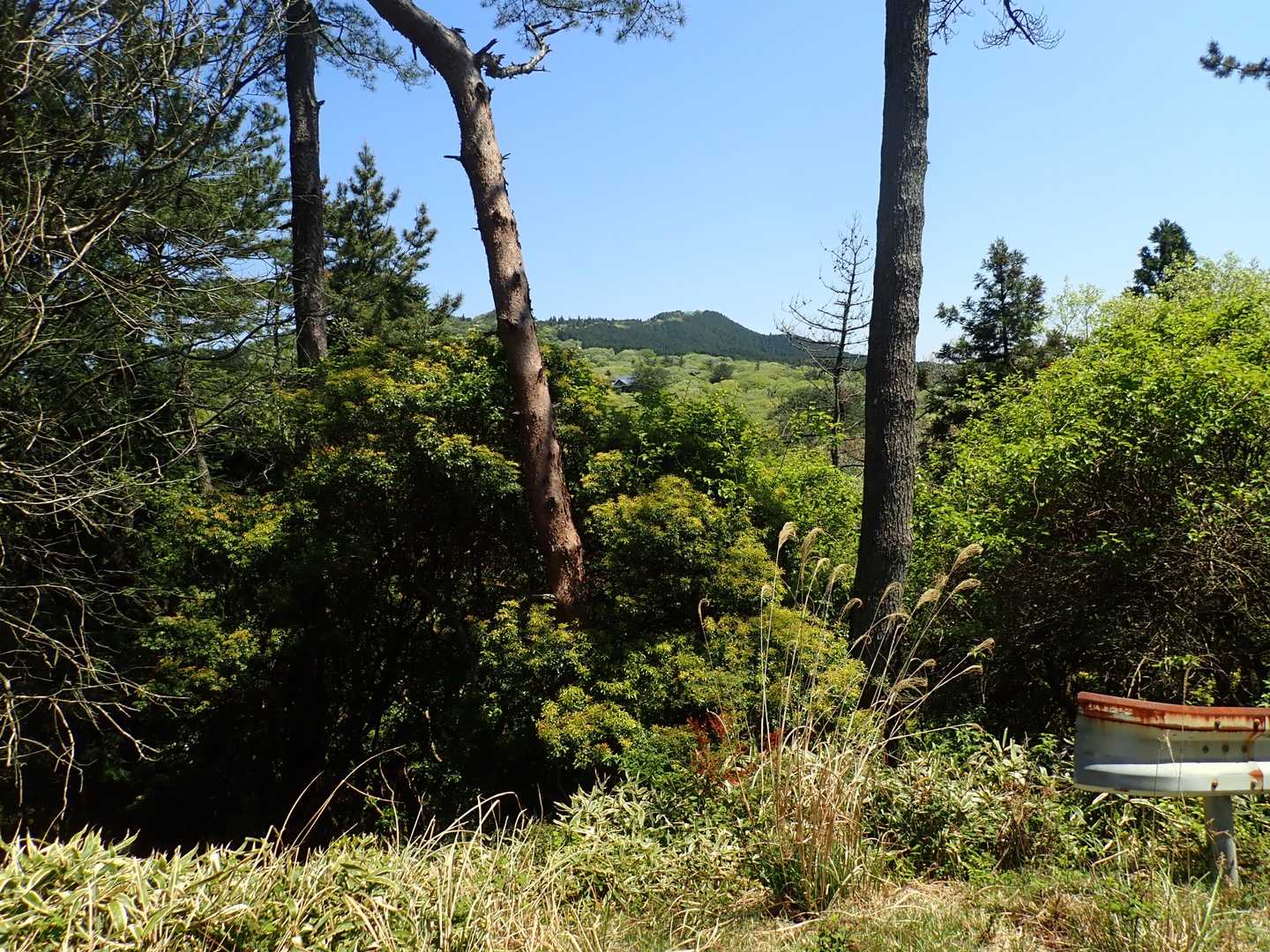 いいお天気☀です。別荘分譲地？を抜けて行きます。