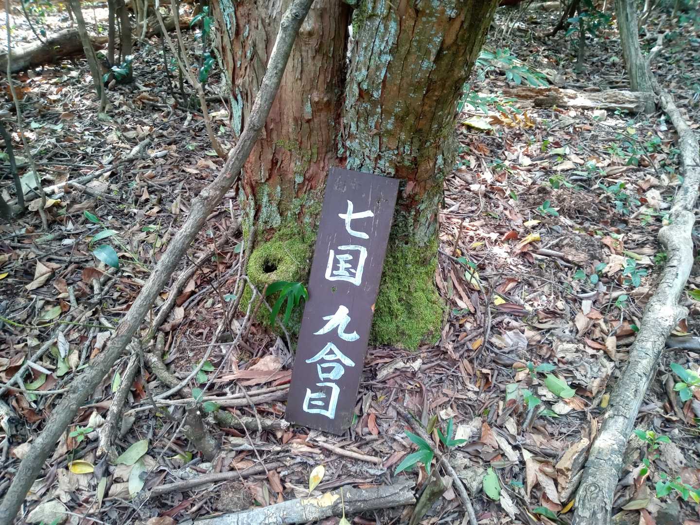 人吉かめさんがおらへん。
広島の瀬戸内海にまで来てへんのか…
九州の人あるあるや思いますけど、人吉かめさん探してしまいますよね🐢