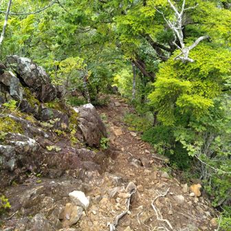 岩峰を下り、雁ヶ腹摺山まで戻りますが…
