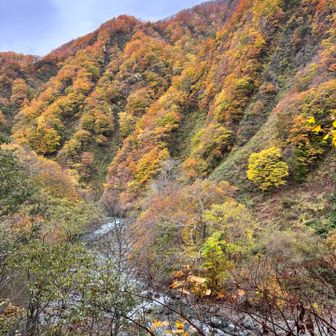 そして紅葉真っ盛り🍁でした！