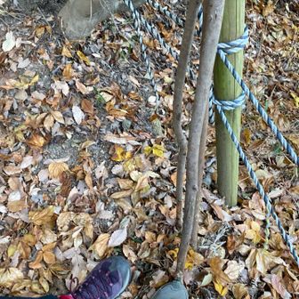 木のストック本当に助かった❣️ おつかれ山👍