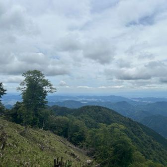 池田山とか伊吹山、霊仙山が見えてたと思う。