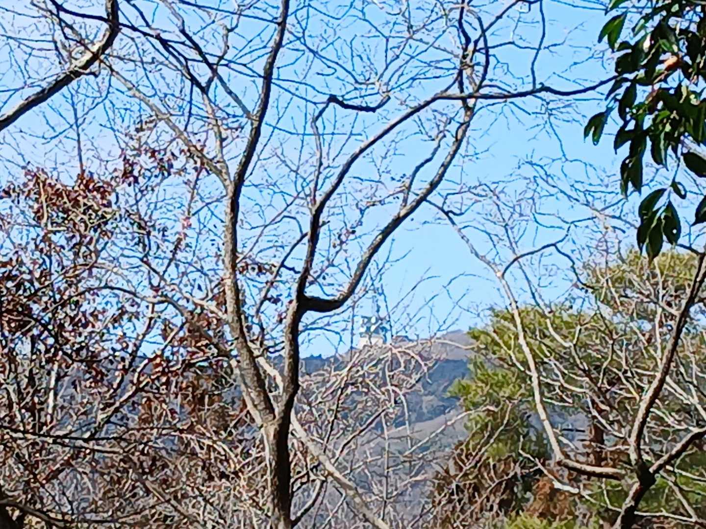 展望台見えてます🔭