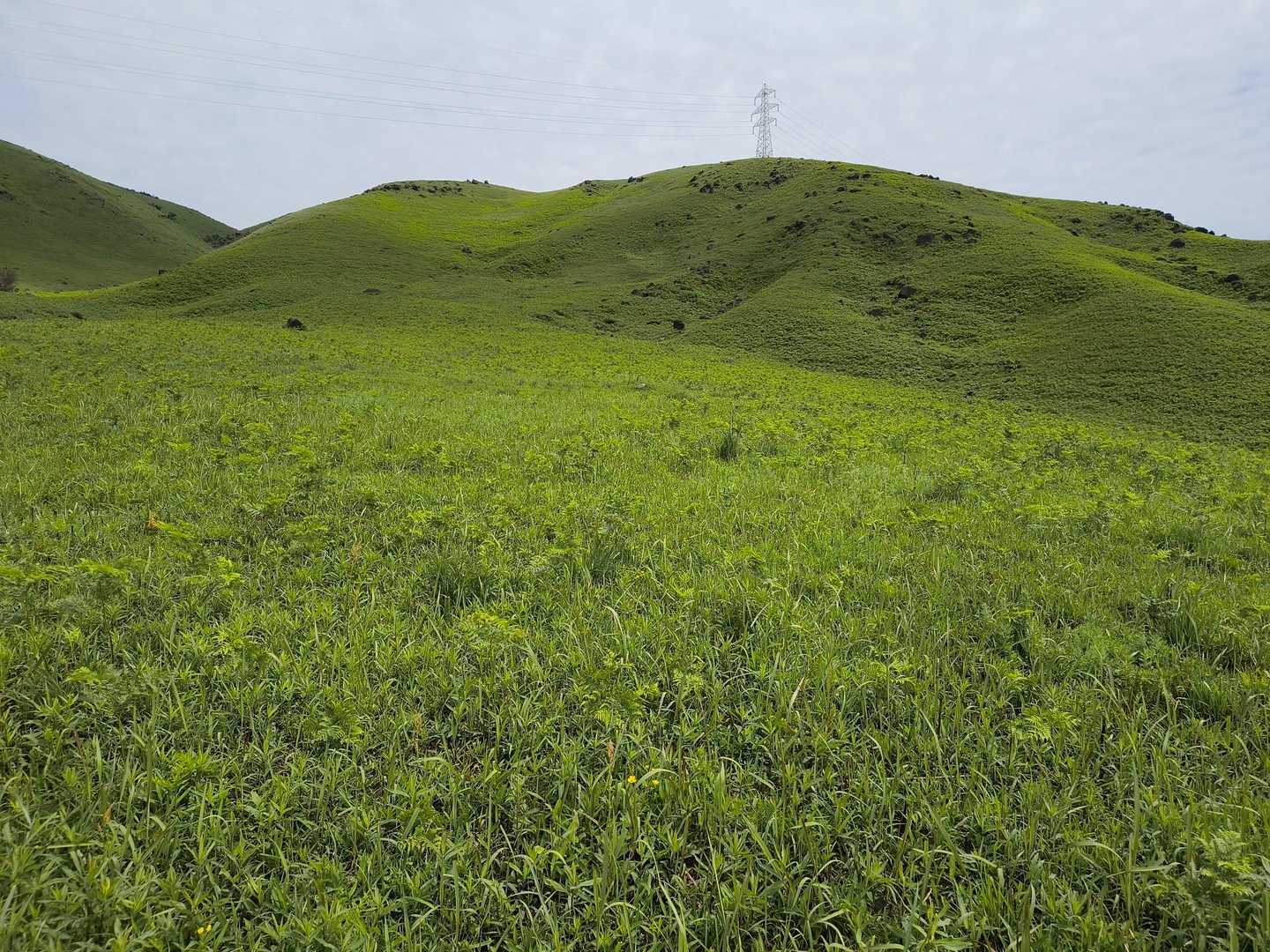 揺ヶ池コース登山口-俵山 周回コースの写真