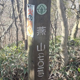 つばくろさんorつばめさん
その「くろ」どっから来た？