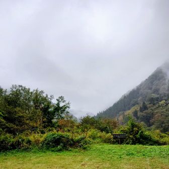 最後まで
大朝日岳は雲の中
それでも
ようやく大クロベとお会い出来たので
清々しい気持ちでいっぱいです✨️😆

さて〜
戻って仕事せねば〜🚙💨