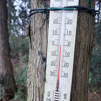 ちょっと暖かくなってるけど風があるのでさっきより寒い