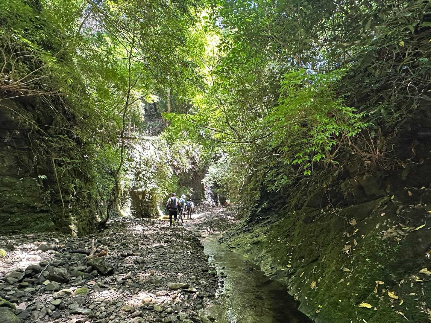 鎌倉古道 大塚山・三浦三良登山口-三浦三良山 周回コースの写真