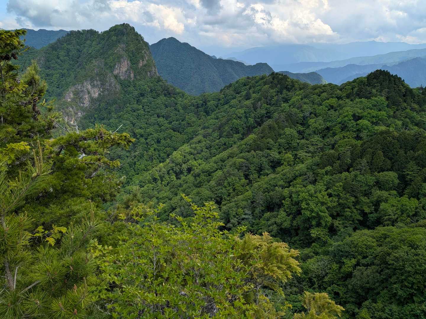 赤岩峠登山口-赤岩峠-大ナゲシ 往復コースの写真