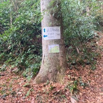 本丸跡に行ってから〜。