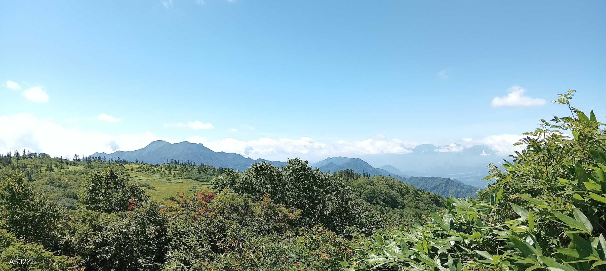 笹ヶ峰-火打山-茶臼山-大倉乗越-妙高山 周回コースの写真