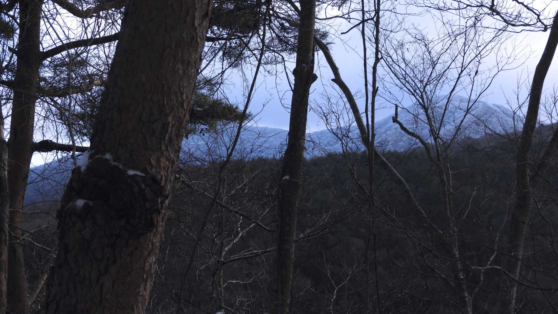 駐車場から鬼穴分岐に下りる道中から霧氷で真っ白な大滝根山。テンションがどんどん上がっていきます。