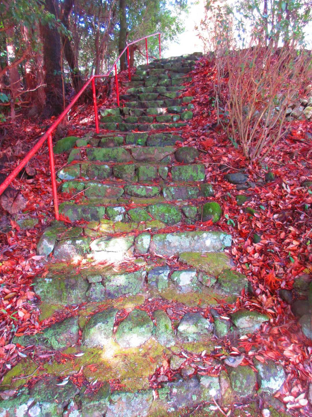 高代寺山-吉川八幡神社 周回コースの写真