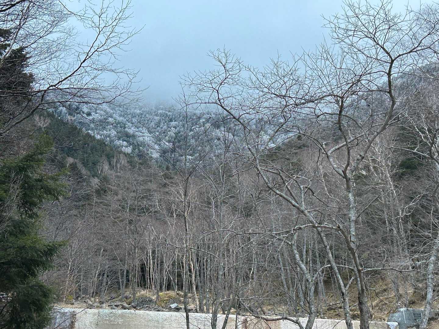 ううーん
午前はまだお天気いい予報なんだけどな…😅これは1日あやしそう