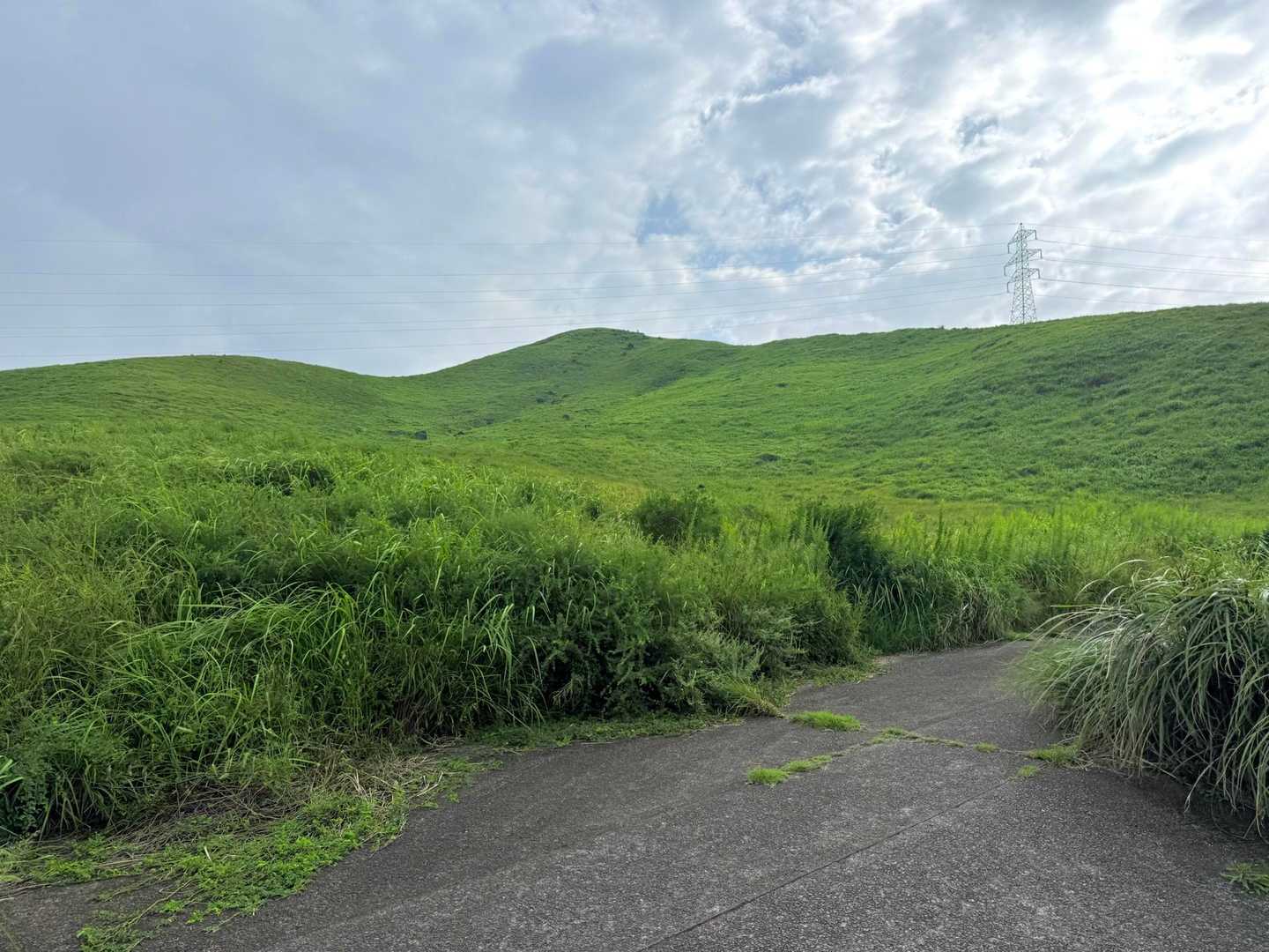 こちらから登ります↗︎
今朝はすごい風で、でもせっかくここまで来たのでとりあえず行けるところまで進むことにしました