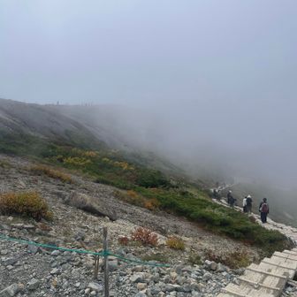 ガスガスで仕方がないから下山します🤢