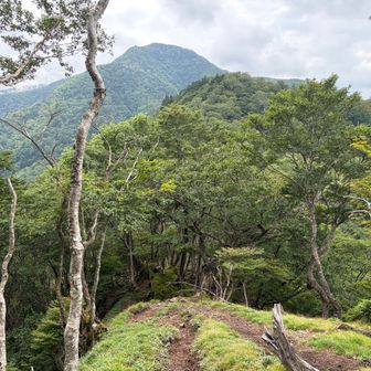 心地よい稜線歩き