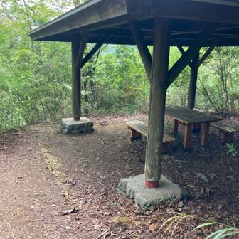 展望が良いのかと思ったら、こんもり茂っていて何も見えず。