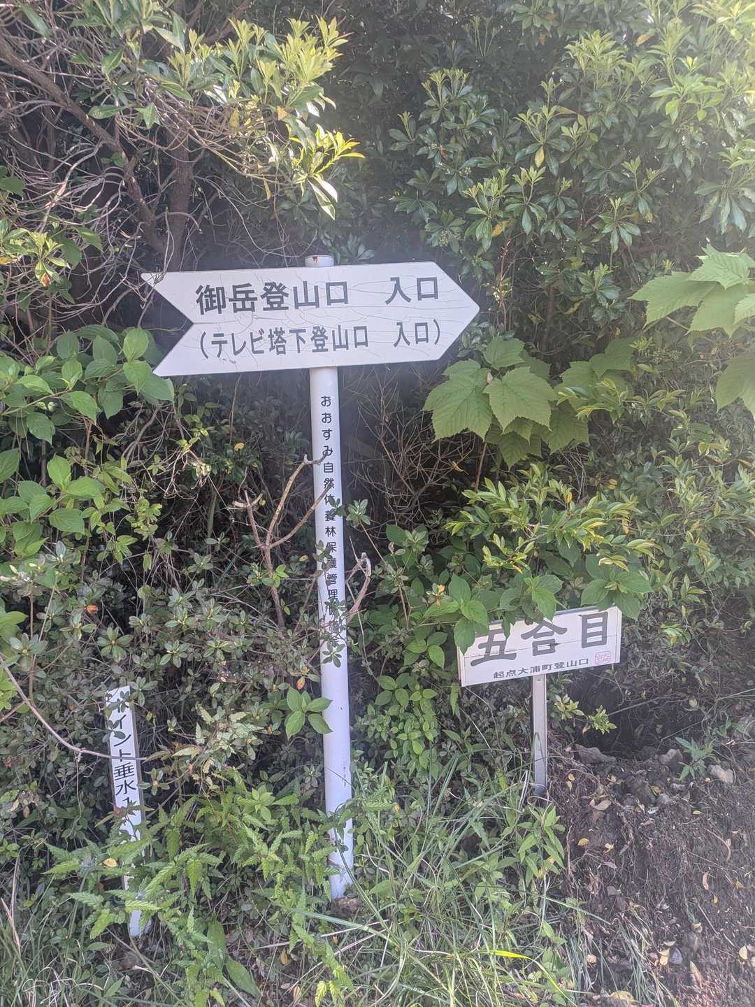五合目にある駐車場からスタート。なんだかすごく得した気分です。
開聞岳の二合目からでもちょっと嬉しいのに、五合目からですよ。