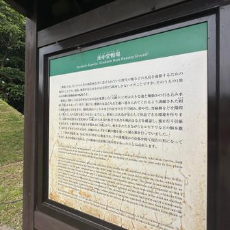 鴨場⤴︎