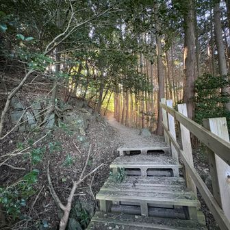 めちゃくちゃ整備されてます。