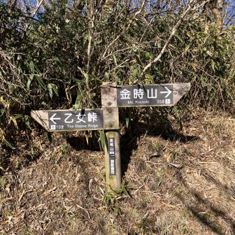 長尾山頂上　小さな広場