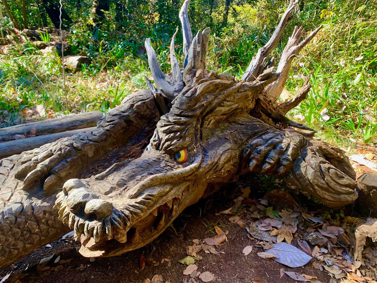 西山の龍🐲
木彫りなので迫力満点💯