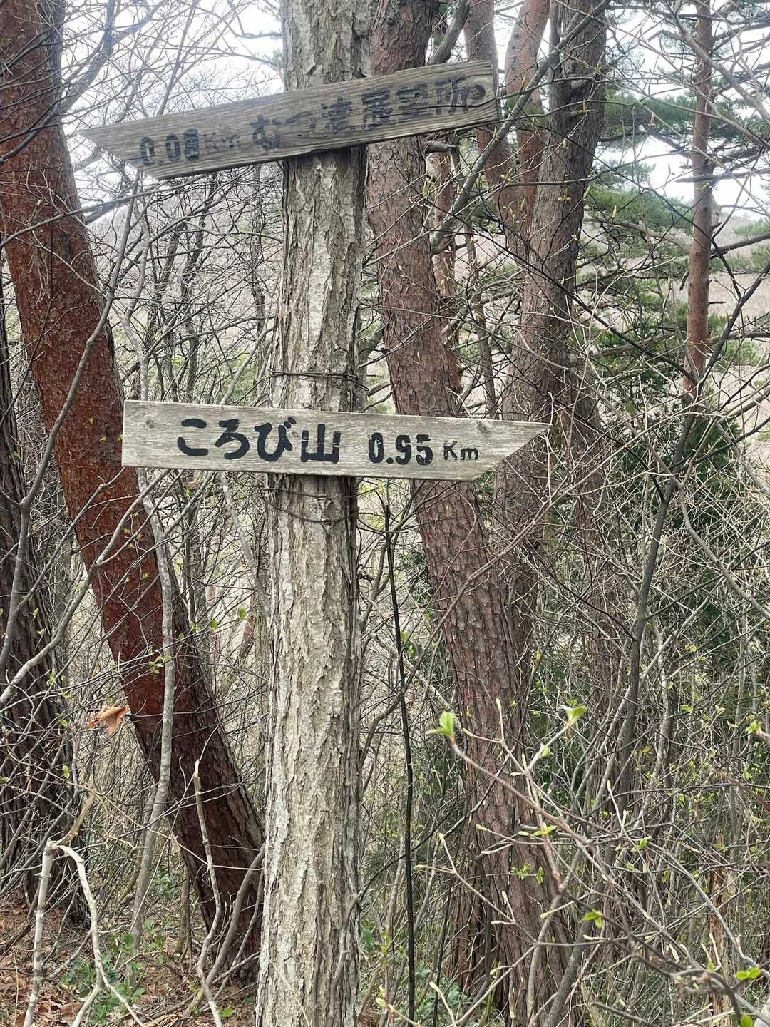 『ころび山』とは、、、気になりますねー🤭