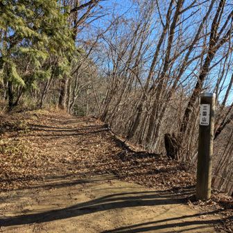 三国山960m
富士山見えるも木々が邪魔