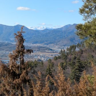 ここからも北アルプスが見えます