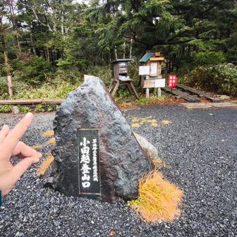背中が痛くて登りより下山に時間がかかるという😵‍💫無事下山😄お疲れ様でした🦊
