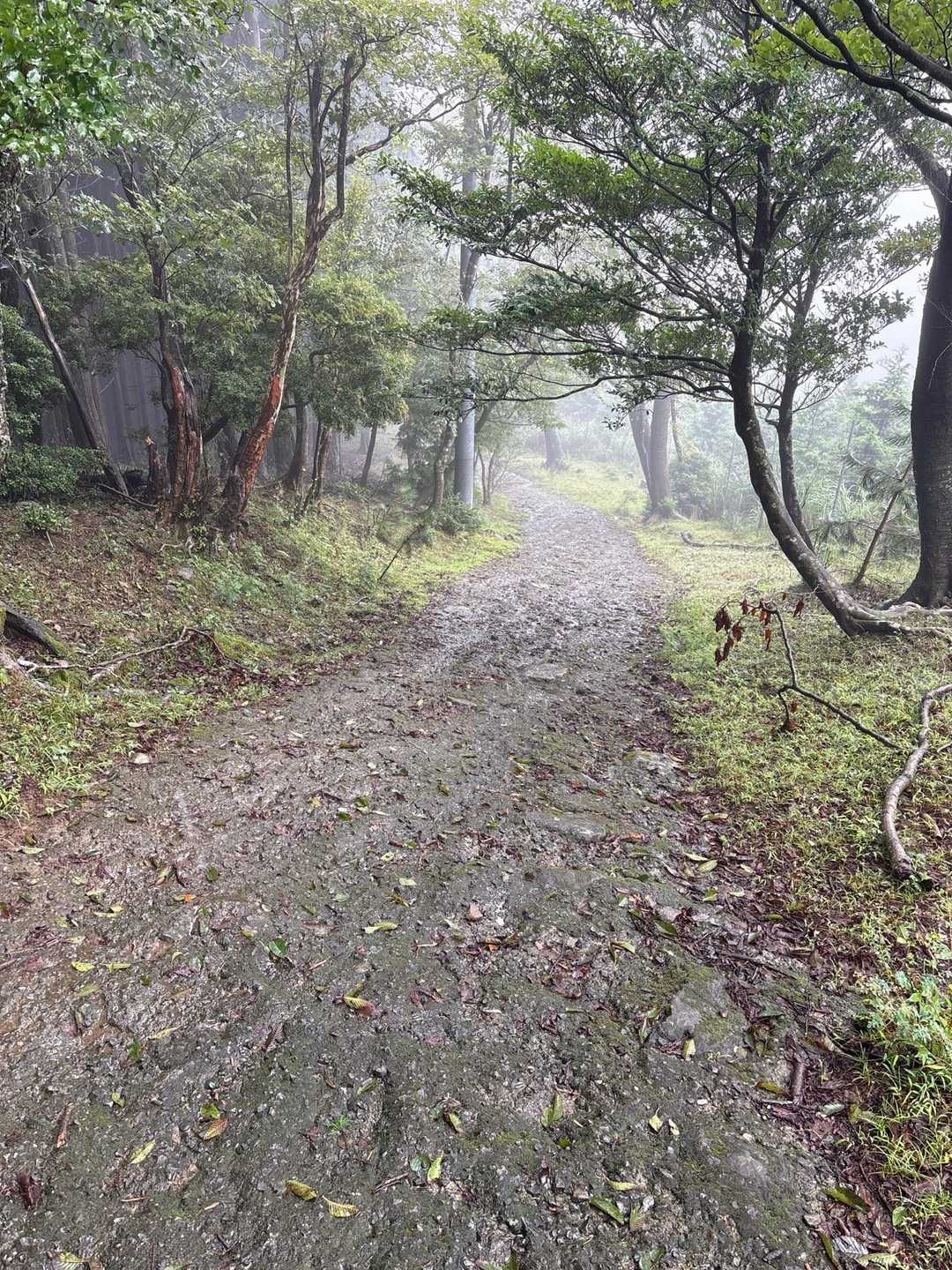 なかなか止まない雨☔