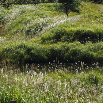 最後に高原の全景を眺めて帰ります