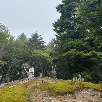 頂上はこんな感じ。　結構広いです