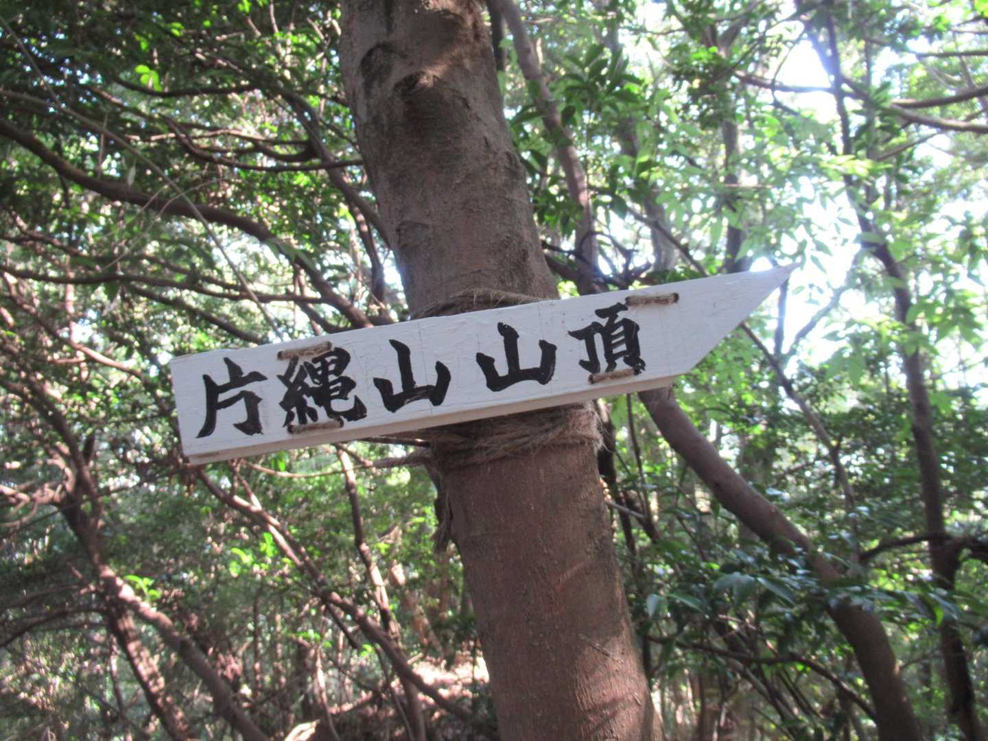 片縄山-糠塚山 往復コースの写真
