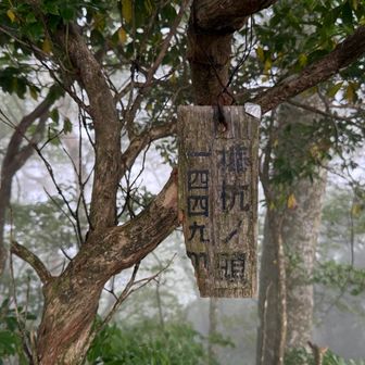 棒杭ノ頭、展望なし